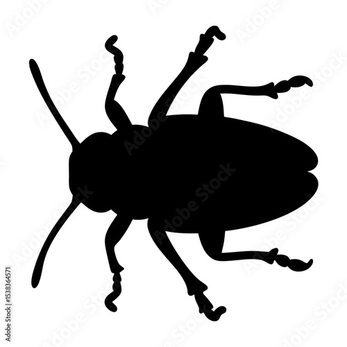 Silhouette of a six legged beetle on a white background isolated