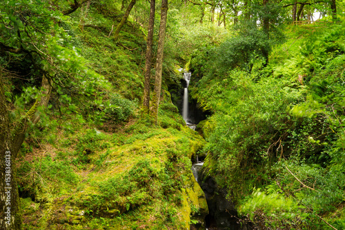 Landscape full of lush vegetation in shades of green with a small waterfall in the center of the image, in Ireland.