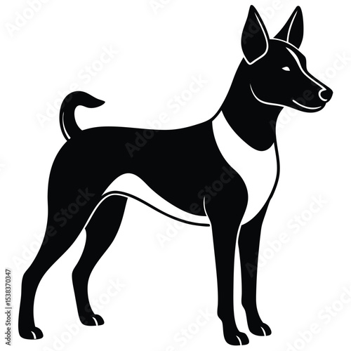 basengi vector dog