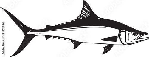 shark vector illustration