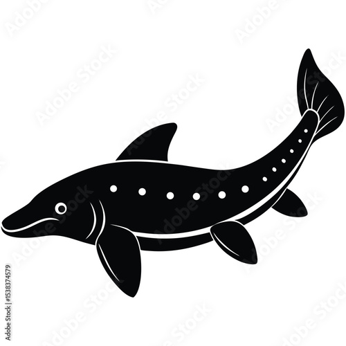 stergeon vector fish
