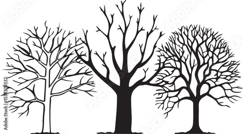 A versatile vector set of bare tree silhouettes, perfect for illustrating the stark beauty of nature across winter and autumn seasons