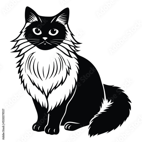 birman vector