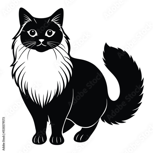 birman vector