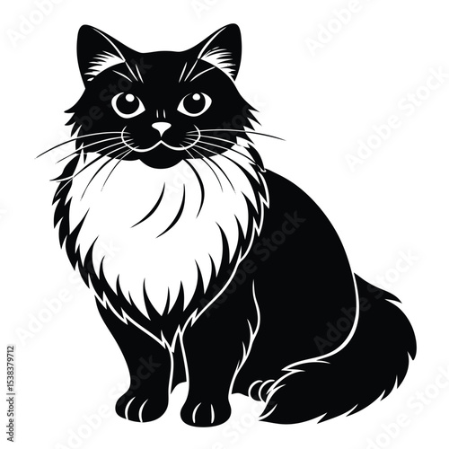 birman vector