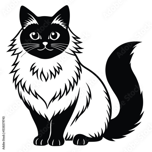 birman vector