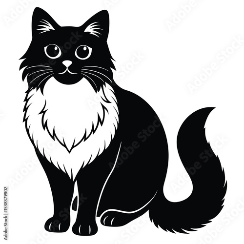 birman vector