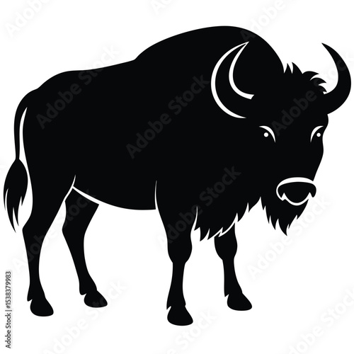 bision vector