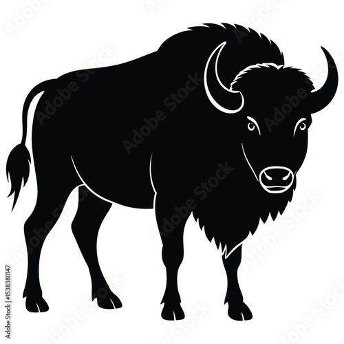 bision vector