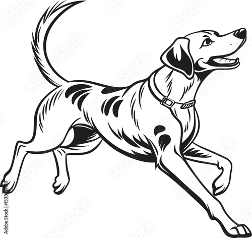 a cute dog is enjoying it's funny moment
