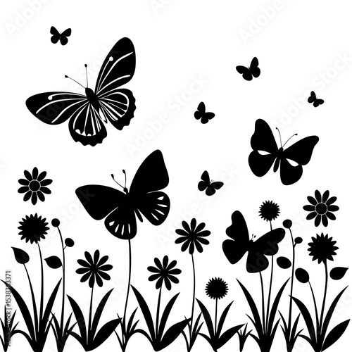 set of vector butterflies