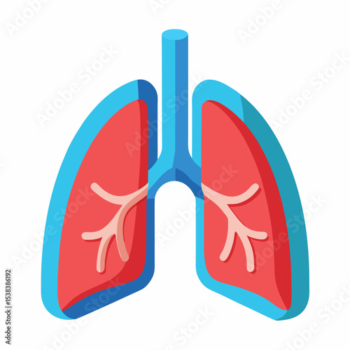 Human lungs illustration showing the respiratory system and internal organ anatomy