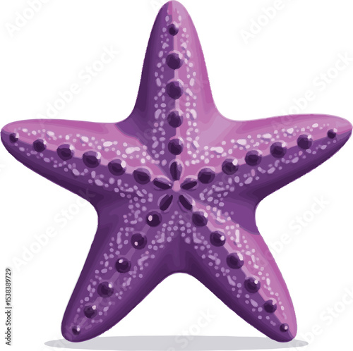 starfish isolated on white