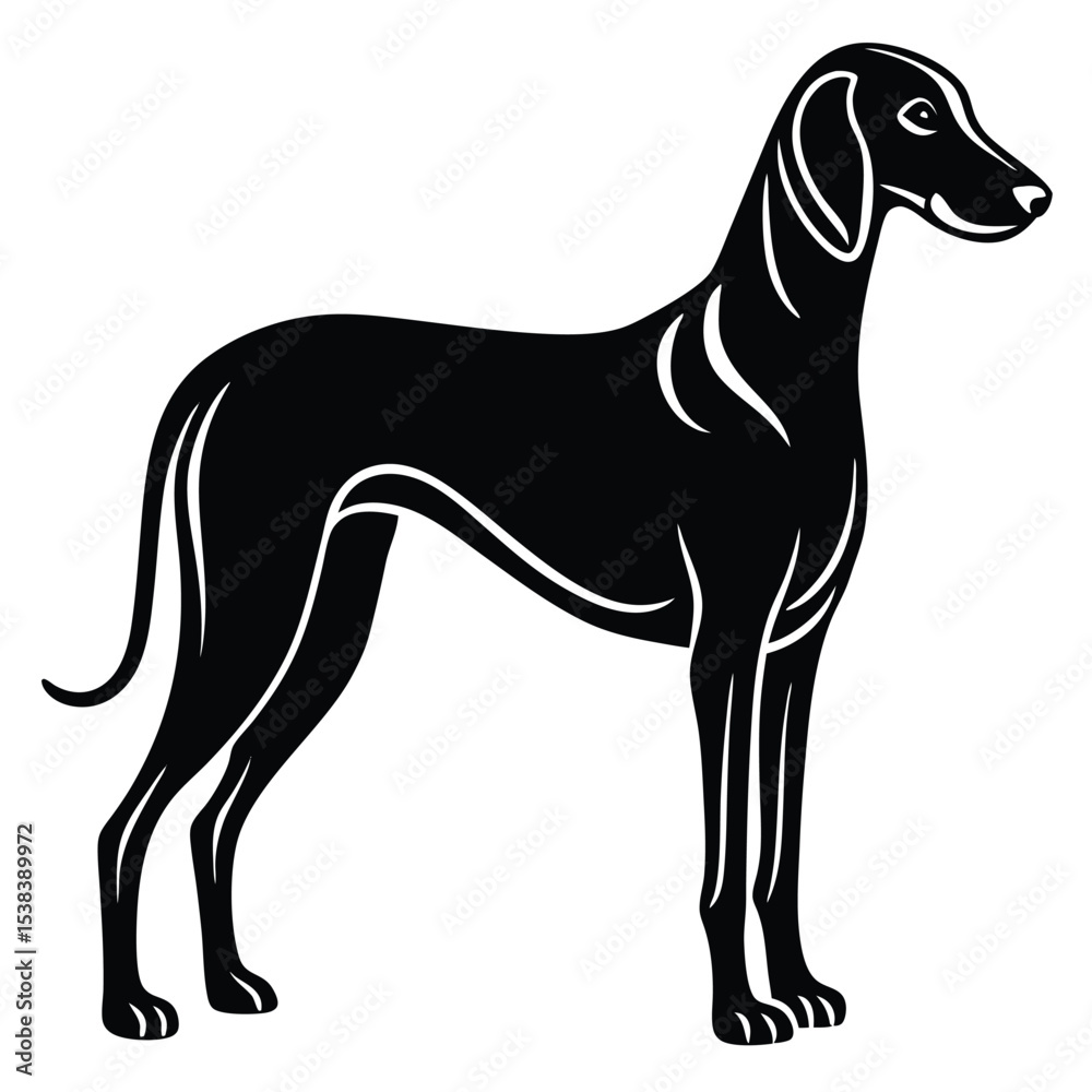 Obraz premium hound dog vector sihouette