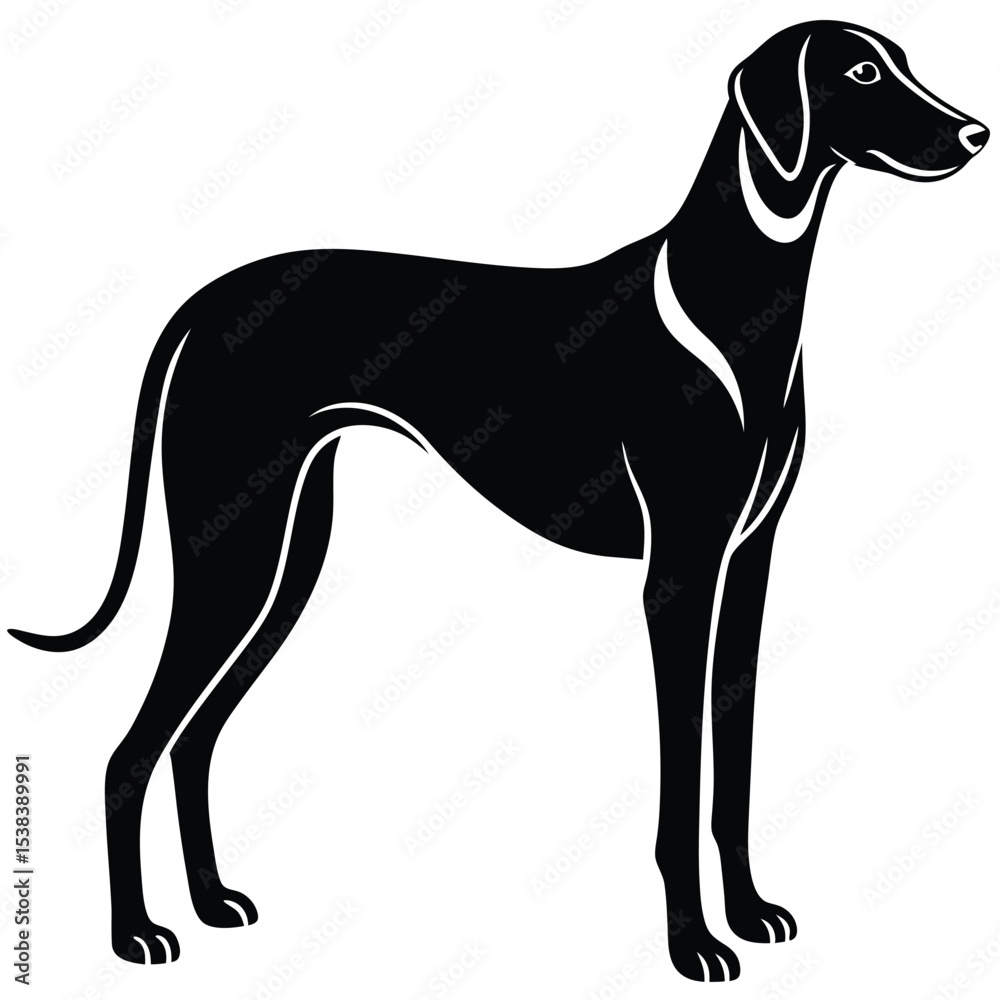 Fototapeta premium hound dog vector sihouette