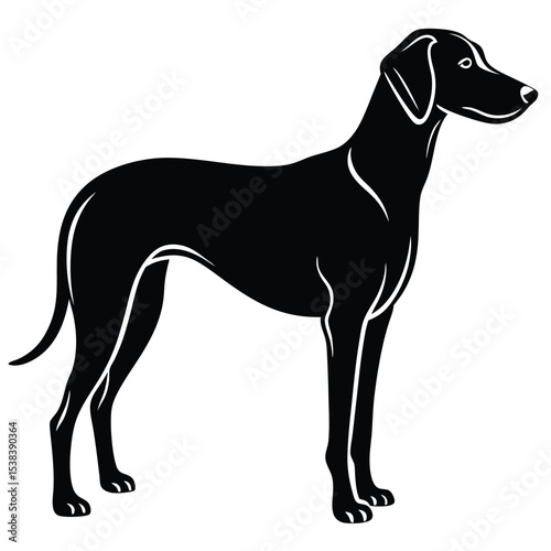 hound dog vector sihouette