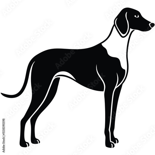 hound dog vector sihouette