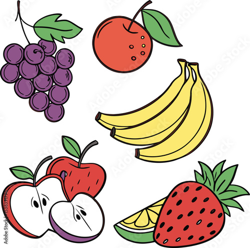 fresh tropical fruit slice vector set collection art
