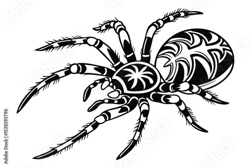 Detailed depicts a black spider with intricately patterned legs and abdomen over white