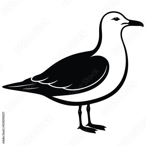 booby vector