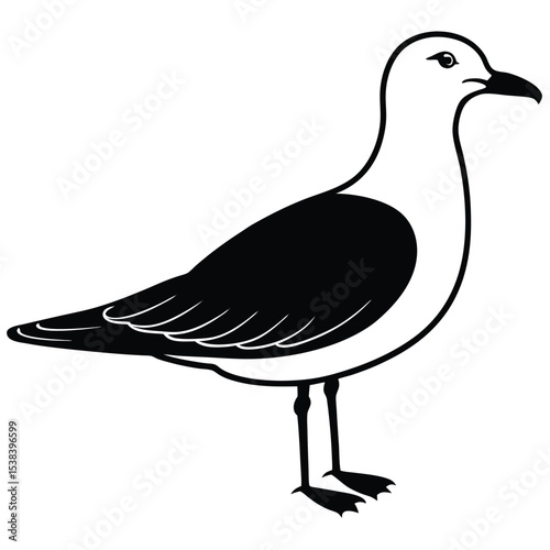 booby vector