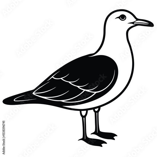 booby vector