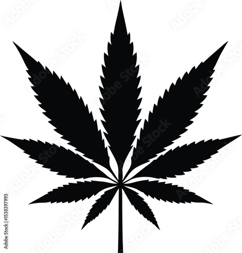 cannabis leaf vector illustration