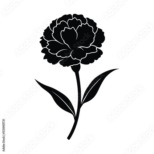 Carnation flower vector silhouette