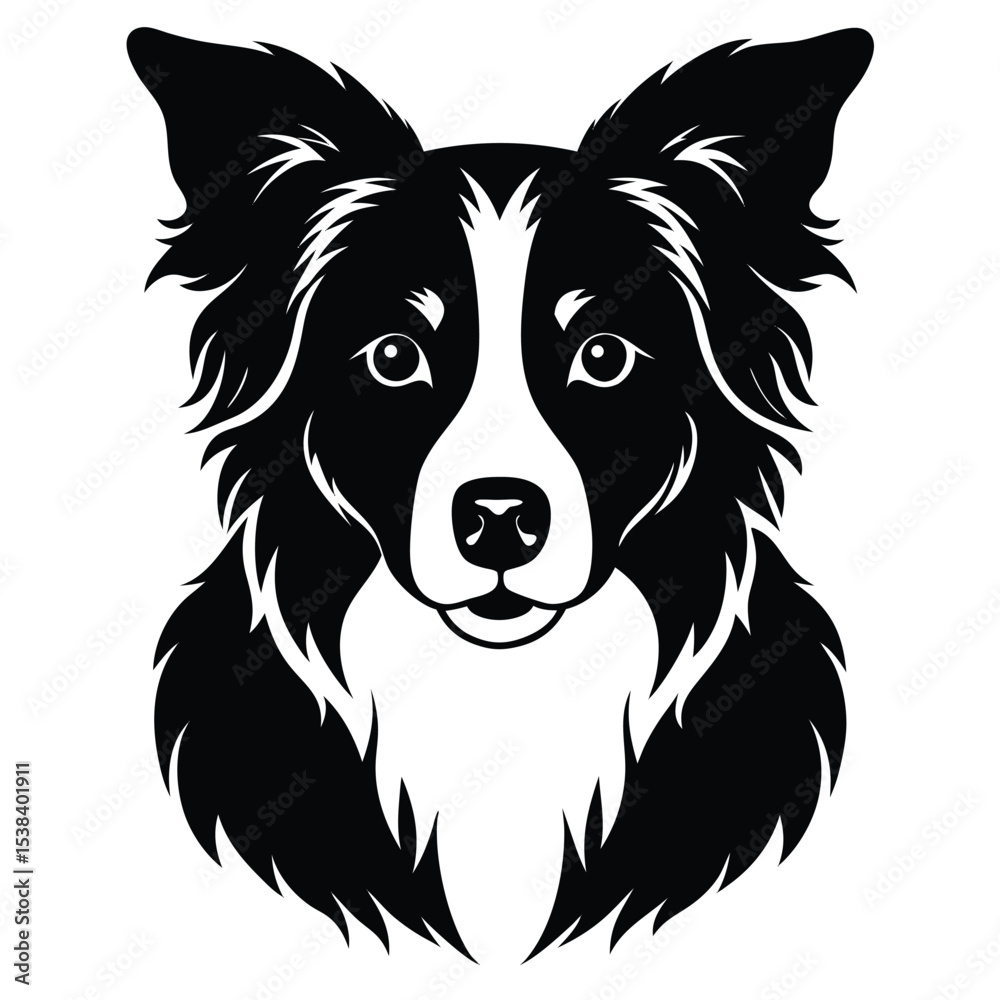 Fototapeta premium collie dog vector