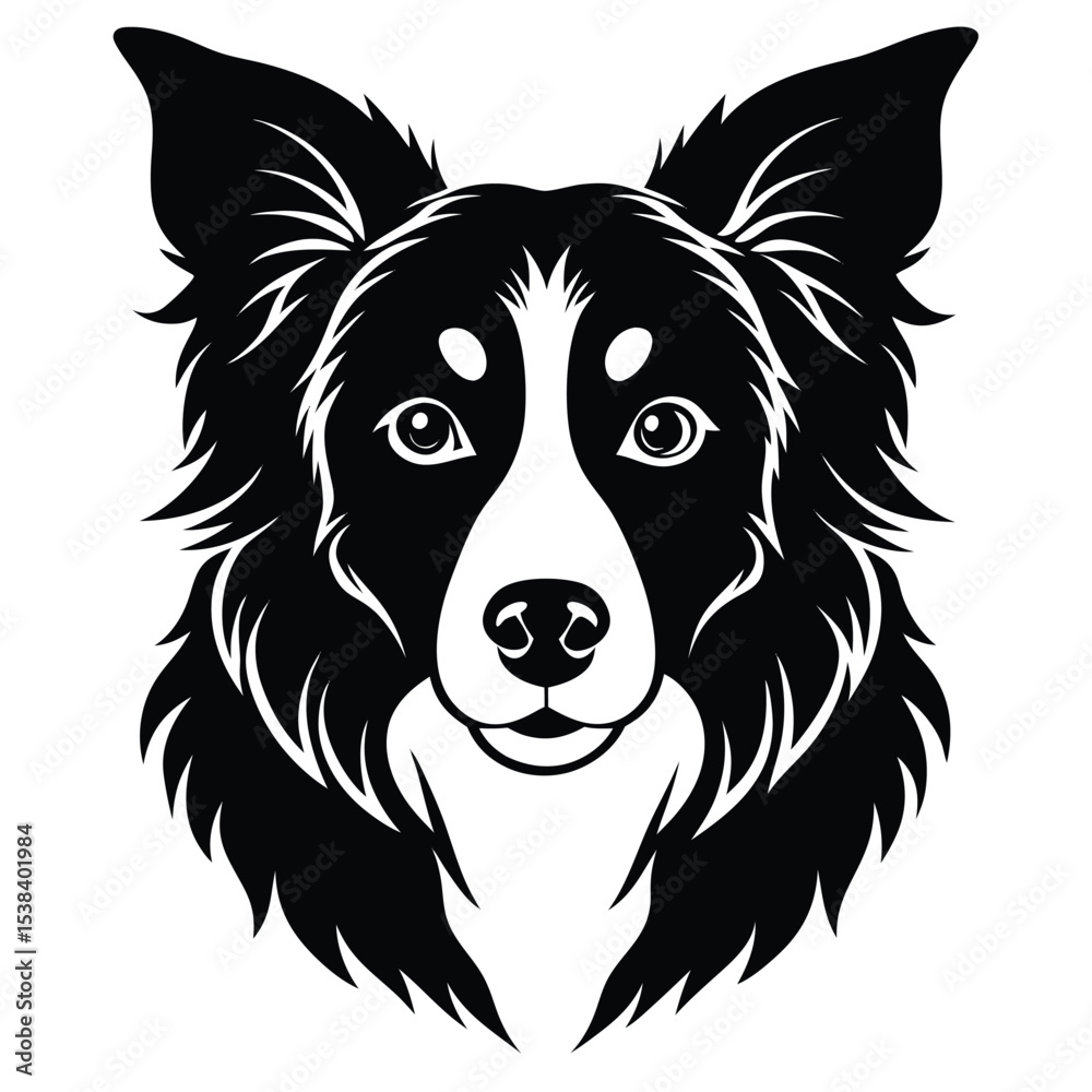 Naklejka premium collie dog vector
