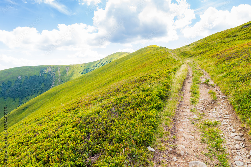 Obraz premium path up the steep hill. beautiful view. travel background with carpathian mountain landscape in summer. grassy alpine scenery of ukraine on a sunny day with clouds on the blue sky. weather change