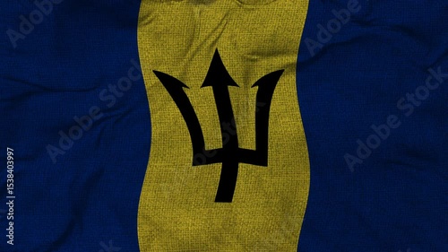 Barbados flag animation seamless loop. 4k
