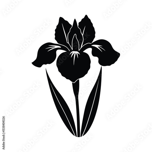 Iris flower vector silhouette