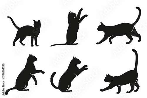 Black silhouette six black cat silhouettes in various poses against a white background showing playful feline actions