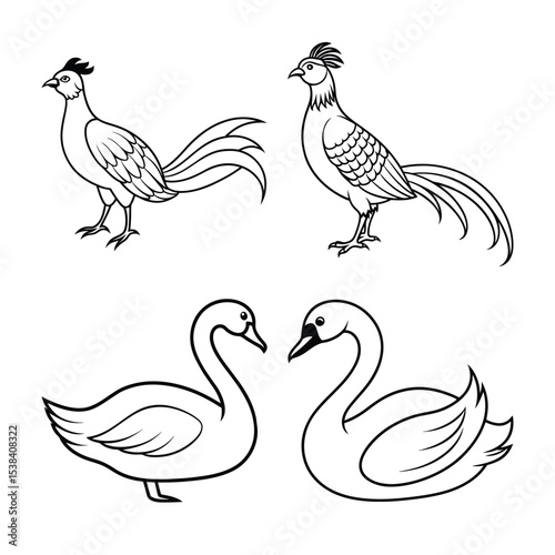 Elegant black and white illustrations of pheasants and swans for design purposes