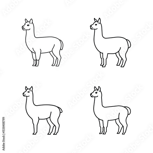 Set of four black and white outlined llamas in standing poses on a white background