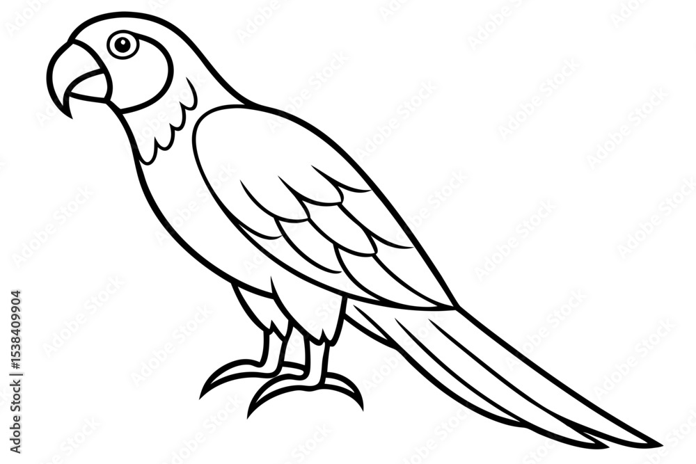 Simple Macaw Line Art Simple Macaw Line Art