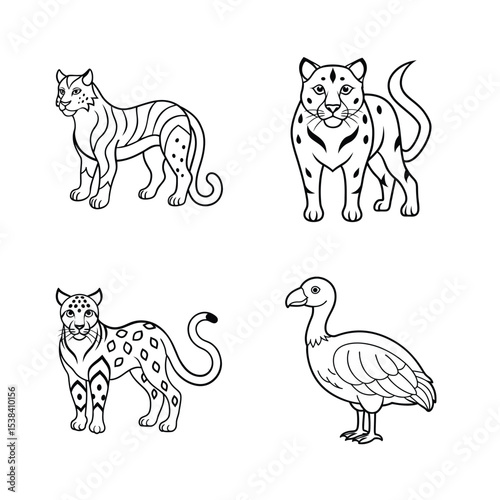 Vector illustrations of tigers leopards and a dodo in black and white for design