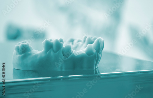 Prototype of human jaw gums and teeth printed on 3D printer from hardened rubber. Model of human lower gum with teeth created on 3D printer from hardened rubber under influence of ultraviolet light.
