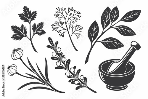 mortar and pestle with herbs
