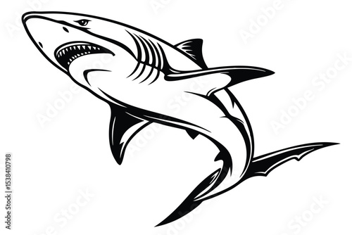 In black and white, a shark rises while showing its teeth aggressively