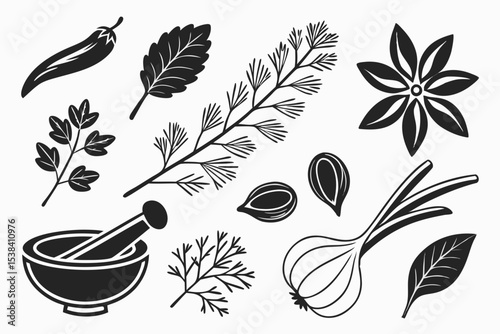 vector set of feathers