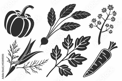 hand drawn vegetables
