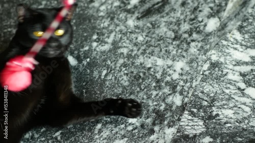 Black Cat Playing with Pink Yarn Ball