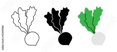 Fresh turnip icon set. Fresh organic vegetable symbol for kitchen, menu, food package design. Vector illustration