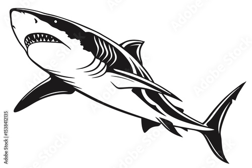 Black and white detailed illustration presents a great white shark swimming diagonally upwards with an open mouth