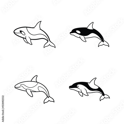 Simple black and white orca illustrations displaying different perspectives on white background