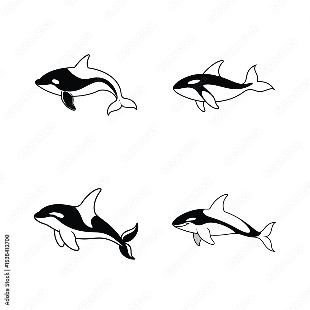 Obraz premium Simple black and white vector illustration of orca killer whales in various poses