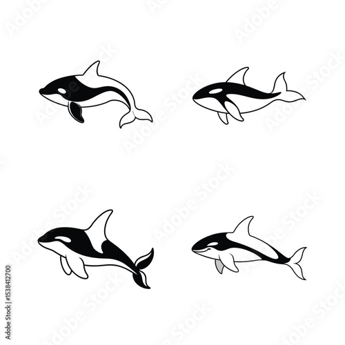 Simple black and white vector illustration of orca killer whales in various poses