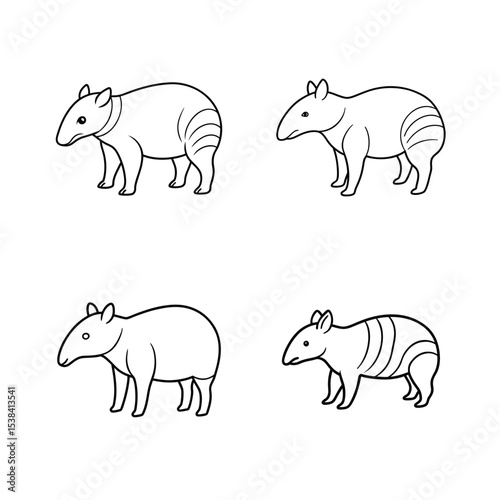 Vector illustration of four tapirs in different poses simple outline animal drawings